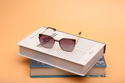 Clip on collection, lilac with a gradient polarised clip on